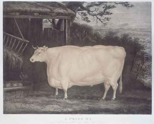 A Prize Ox, engraved by John Thompson, Smeaton, Yorks, 1831 - view 1