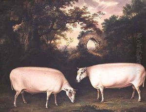 Two Prize Border Leicester Rams in a Landscape, 1800 by Thomas Weaver
