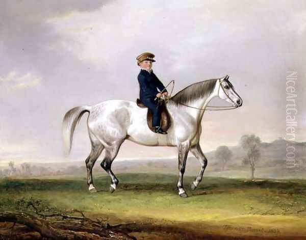 Master Edward Humphries on his Grey Pony, 1823 - view 1