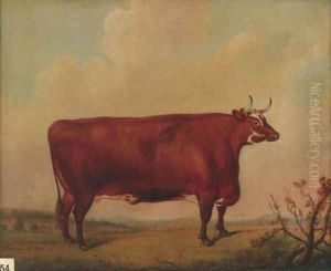 A horned Herefordshire cow by Thomas Weaver