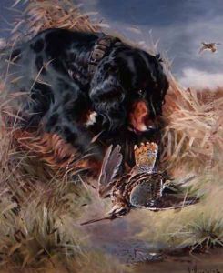 Gordon Setter among reeds by William Woodhouse