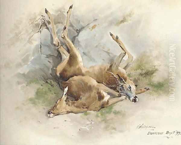Dead Stags - view 1