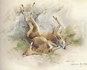 Dead Stags by William Woodhouse
