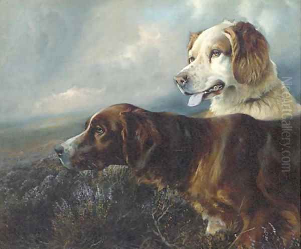 Setters on a moor - view 1