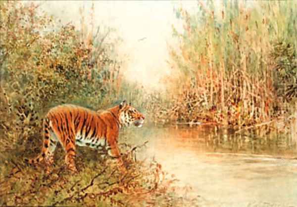 Tiger at the Water's Edge - view 1