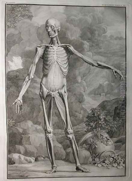 Albinus I, Tab. III: Musculature, illustration from 'Tabulae sceleti et musculorum corporis humani', by Bernhard Siegfried Albinus (1697-1770), published by J.&H. Verbeek, bibliop., Leiden, 1747 - view 1
