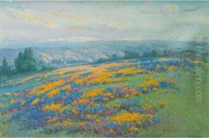 California Field Poppies California Field Poppies