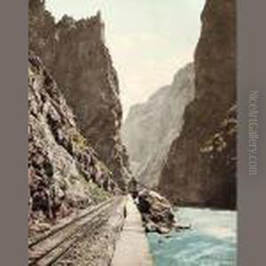 Royal Gorge Colorado On The Denver &amp; Rio Grande Railroad by William Henry Jackson
