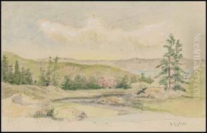 Landscape Landscape