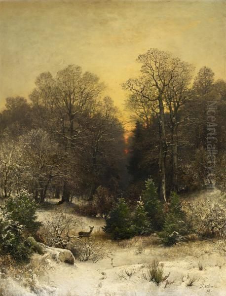 Dusk Over A Winter Forest - view 1