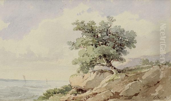 Arbres Au Bord De La Mer - view 1