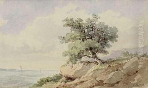 Arbres Au Bord De La Mer by Charles Emile Jacques