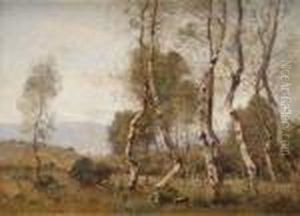 Paysage Aux Bouleaux Paysage Aux Bouleaux