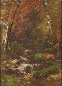 Cascade En Sous-bois