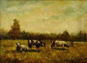 Troupeau De Vaches Dans La Prairie