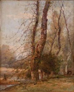 Arbre Pres D'une Riviere