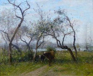 Paysage De Picardie Aux Arbres En Fleurs
