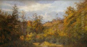 Paisaje