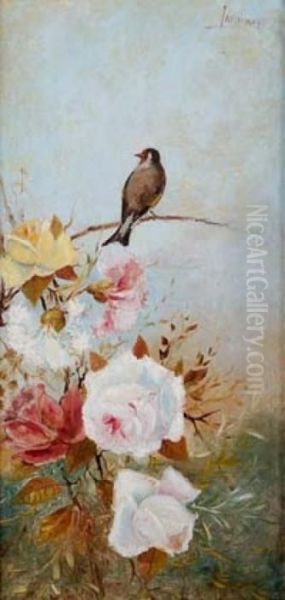 Pajaro En Una Rama - view 1