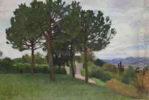Parklandskap