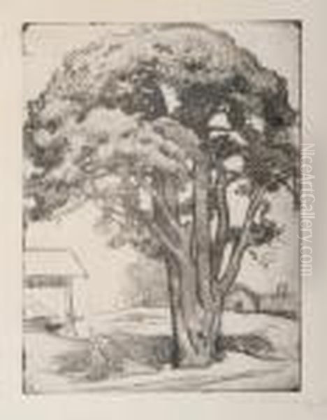 Anold Tree - view 1