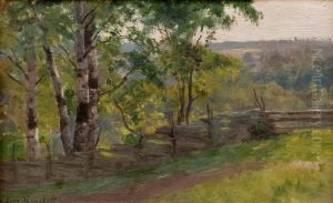 Abirch Grove