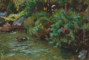 Forest Pond