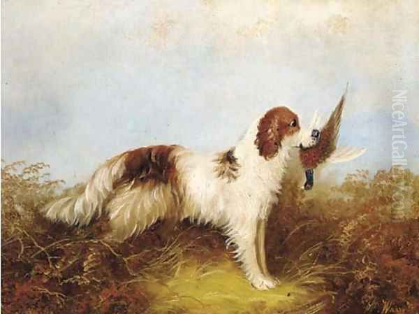 A gun dog with a pheasant - view 1