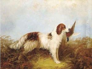 A gun dog with a pheasant by William Tom Warrener