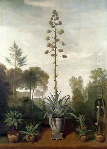 A Botanical Garden - view 1
