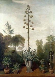 A Botanical Garden