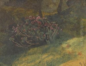 Landschaftspartie Mit Bluhendem Strauch