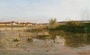 Abendliche Landschaft