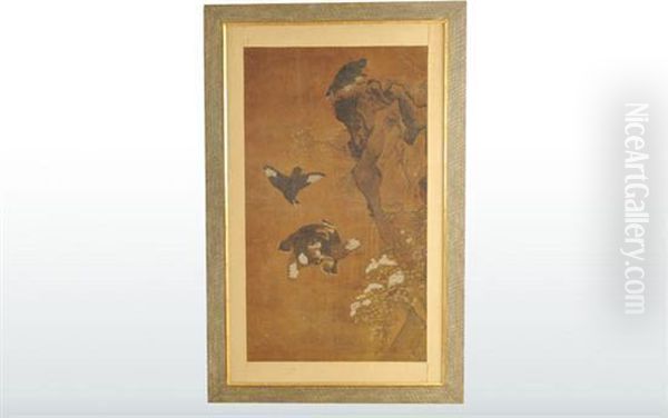 Flores, Aves Y Paisaje - view 1