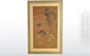 Flores, Aves Y Paisaje Flores, Aves Y Paisaje