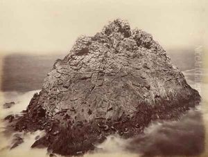 Sugar Loaf Island, Farallon National Wildlife Refuge, California, USA, 1869