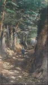 Stroll In A Shaded Lane by Jose Jimenez y Aranda
