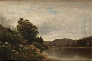 Study. On The Delaware. - At Hancock (queen Of The Meadow &amp; Boneset)