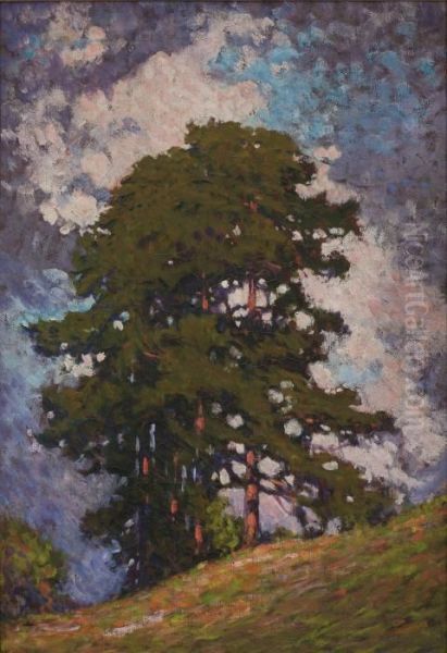 Hillside Trees - view 1