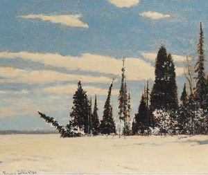 The Silent Land