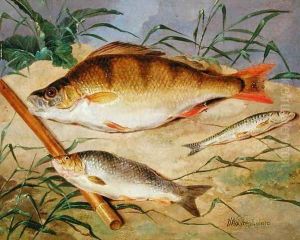 An Anglers Catch of Coarse Fish by Dean Wolstenholme, Jr