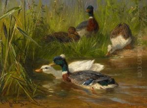 Ducks At A Stream Bank by Carl Jutz