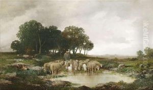 Schafherde An Einer Wasserstelle Vor Weitem Landschaftshintergrund