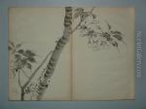 Scenes De La Nature by Imao Keinen