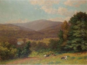 Cows At Pasture On A Summer Afternoon