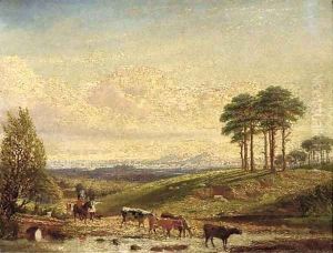 A drover with cattle near Hagley