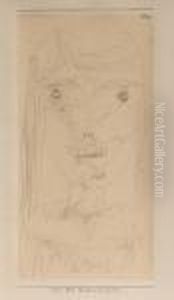 Physiognomisch Nach M.b. by Paul Klee