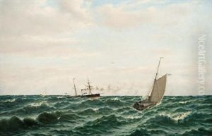 Sailing Competition Near Helsinki