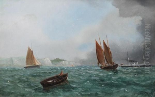 White Cliffs Of Dover - view 1
