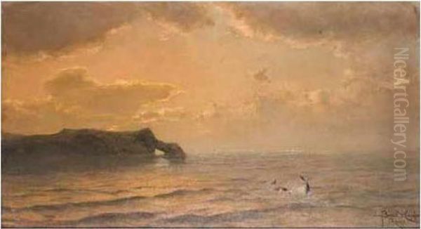 Dolphins - view 1